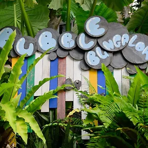 Bubble 2* Ko Tao